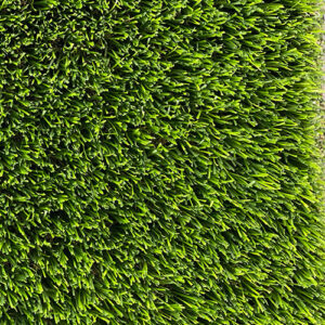 Buy Artificial Turf – HD Turf