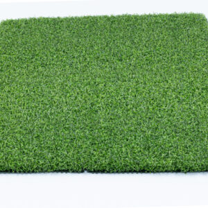 HD Putt Pro